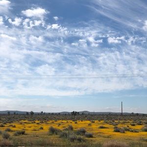 Meet your Posher, Ian